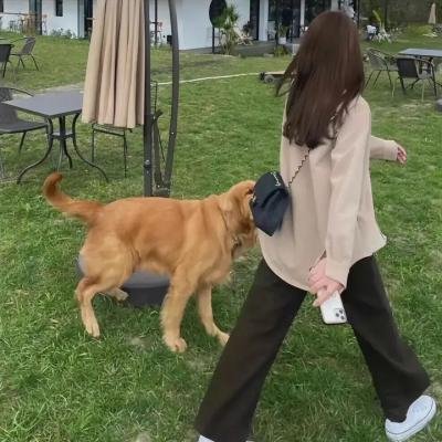小羊肖恩大电影2