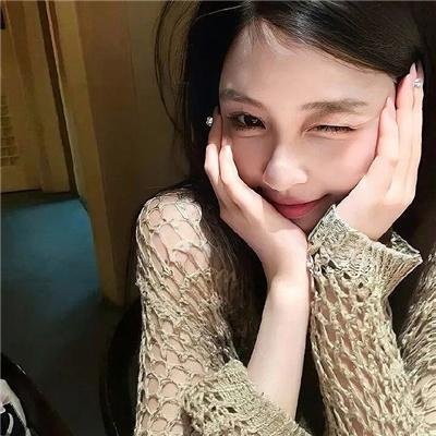 我的朋友是萌鲨